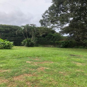 Lotes-LOTE EN VENTA EN CIUDAD COL&Oacute;N 