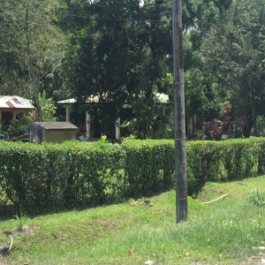 Lotes-LOTE CERCA DE APM TERMINALS. LIMON.