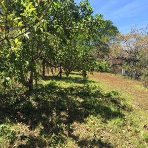Lotes-Lote 2, el Rodeo de Mora.
