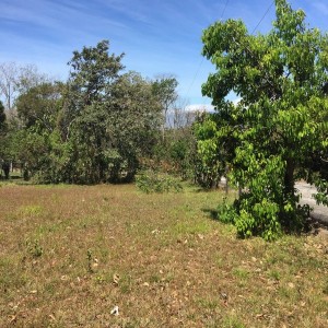 Lotes-Lote 1, El Rodeo de Mora.