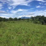 FINCA EN CA&Ntilde;AS